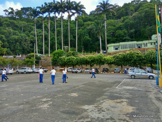 Ações contra o mosquito da Dengue